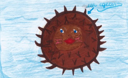 Zonnecrème Bossa Nova