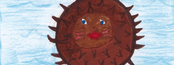 Zonnecrème Bossa Nova