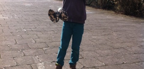 Tweedaagse stage “Circus”